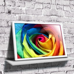 壁画价格查询与比较指南——以50-70元商品为例