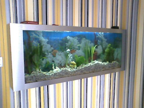 壁画式生态鱼缸006 ,重庆市蓝海鸥生态鱼缸厂